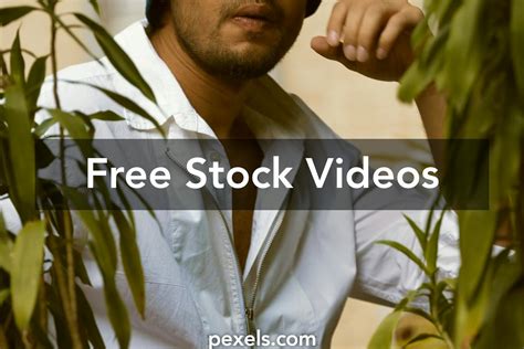 pexel videos|Free 4K Stock Videos & Full HD Video Clips to Download